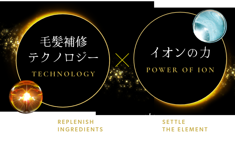 毛髪補修テクノロジー(補給)×イオンの力(定着)